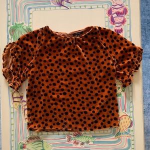 Madewell SS Golden Velour Top w Black Polka Dots